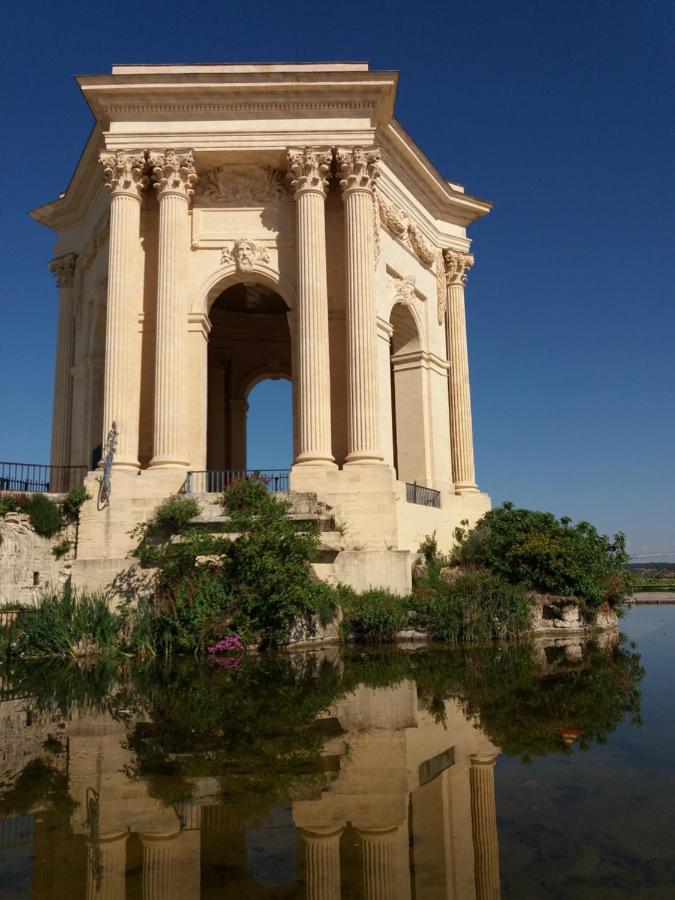 Un Oasis Au Coeur De La Vieille Ville, Classe 4 Etoiles Montpellier Zewnętrze zdjęcie